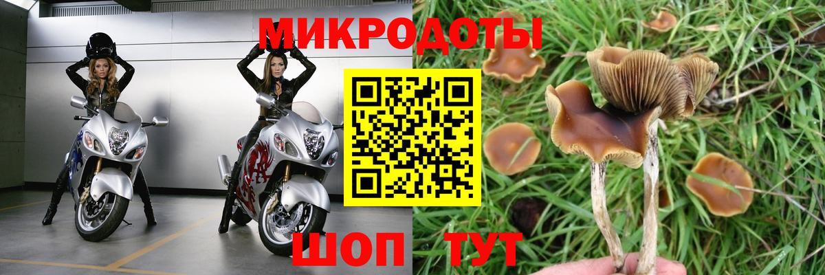 Псилоцибиновые грибы прущие грибы Грязи